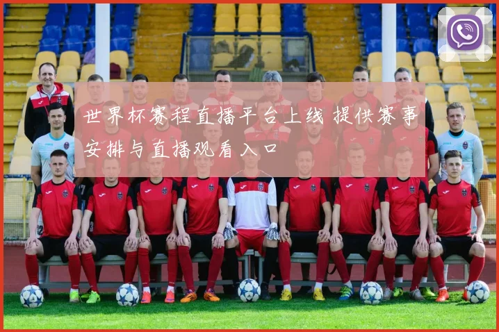 世界杯赛程直播平台上线 提供赛事安排与直播观看入口