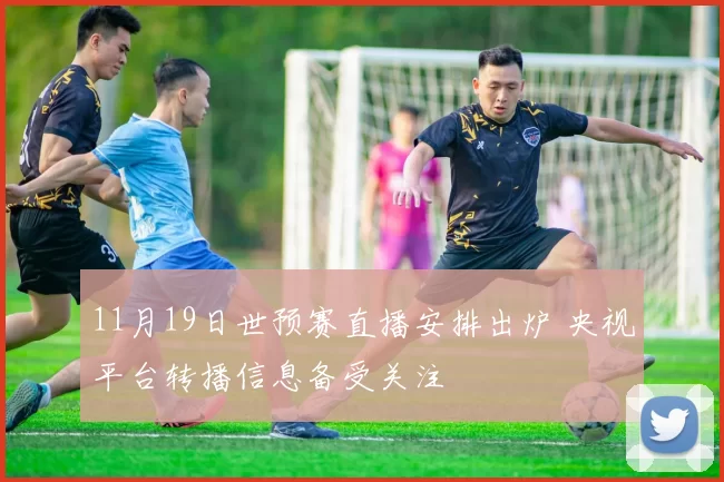 11月19日世预赛直播安排出炉 央视平台转播信息备受关注